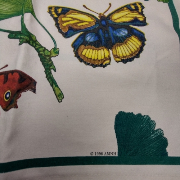 American Museum of Natural History Vintage Butterfly Placemats (4) - Picture 3 of 7